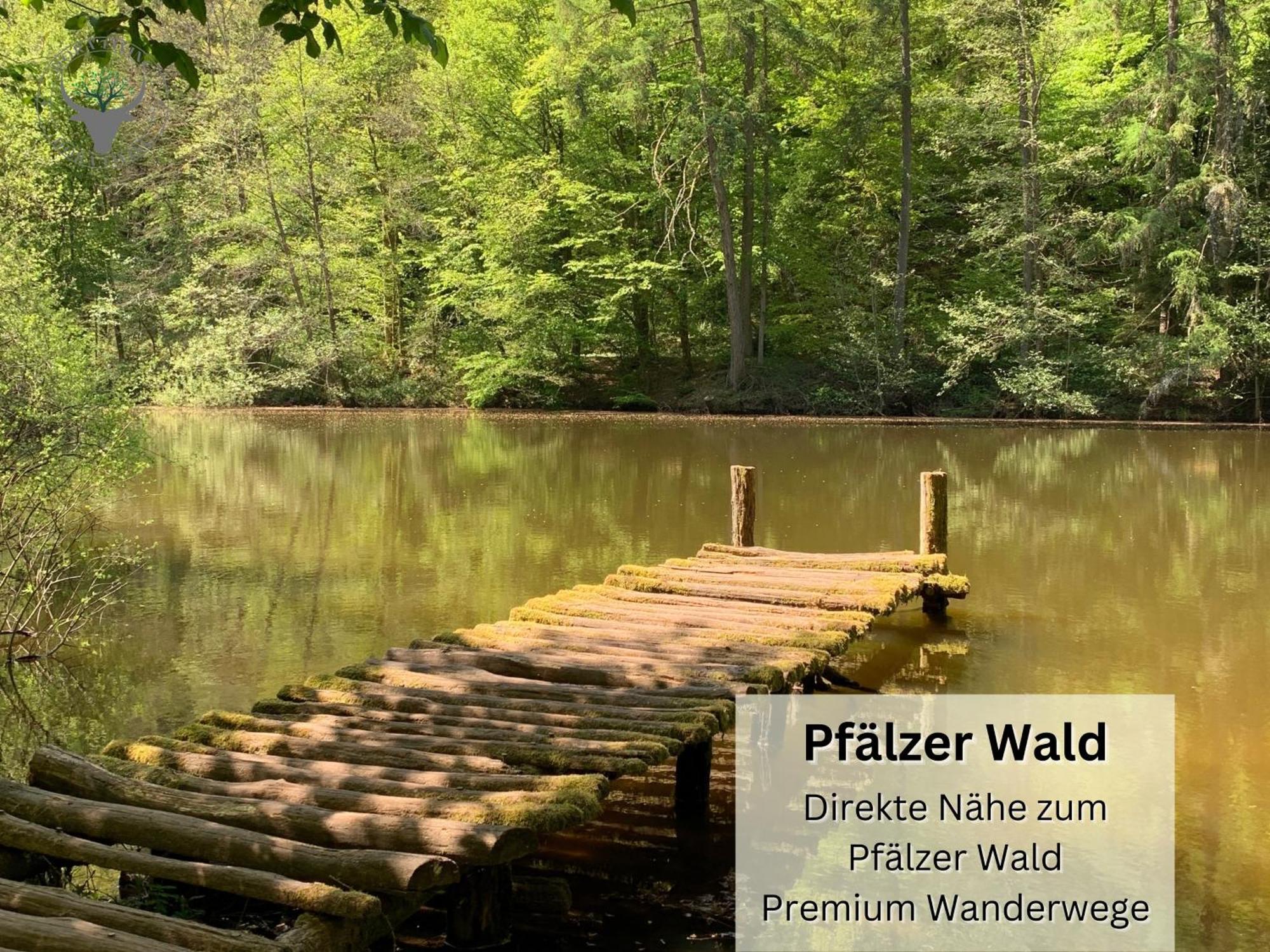 Psapartment Am Pfaelzer Wald Naehe Outlet Center Zweibruecken Pirmasens Zewnętrze zdjęcie
